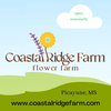 Coastal Ridge Farm u-pick flower farm